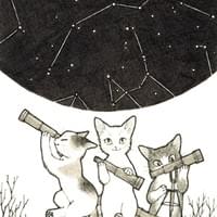 星空のねこ