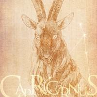 カプリコーン