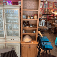 $550 Big bass shelf cabinet 22" x 26" x 93"