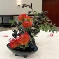 Lynn Bledsoe - Ichiyo School