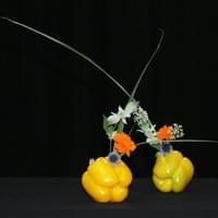 Bell Peppers, Mountain mint, Marigold. Globe thistle, Variegated miscanthus