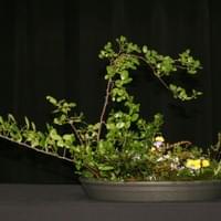 Middle View Landscape Form