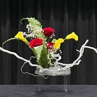 Glass container, Harry Lauder's walking stick, bird’s nest fern, roses, calla lily, baby's breath       