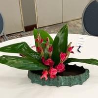 Betty Fox - Ichiyo School