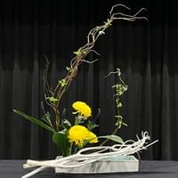 Braided curly willow, aspidistra, mums, veronica, bleached mitsumata
