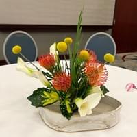 Michelle Soule' - Ichiyo School