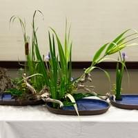 The completed arrangement