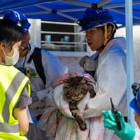 來源: 香港警察 Hong Kong Police FB