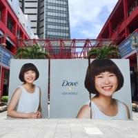 Dove 多芬
