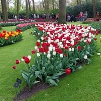 Keukenhof Gardens Holland