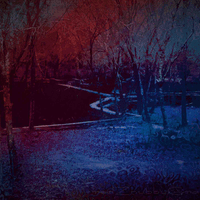 In Light Of Days To Come