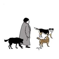 Lady and the stray dogs