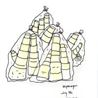 Bamboo shoots