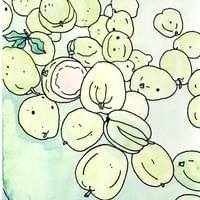 Guavas