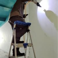 除白蟻施作照片