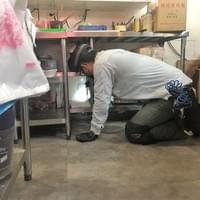 滅蟑工作實景照片