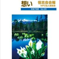 Vol.20