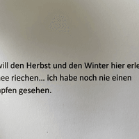 Das Buch - die kleine Tomate