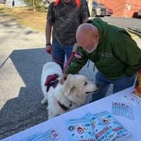 Cotton Festival -Eclectic 2025