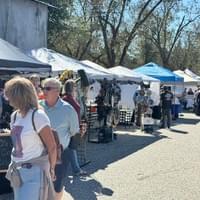 Cotton Festival -Eclectic 2025