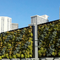 City View Living Walls
