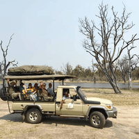 Game Drive