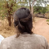 Rhino Short Walk