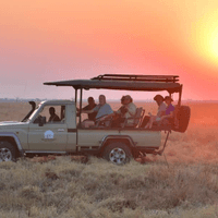 Chobe  Game Drive
