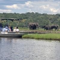 Chobe Day Trip