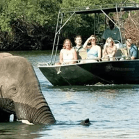 River Safari