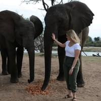 Elephant interaction