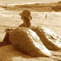 HIGHER LIFE Sculpture by the Sea