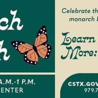 Monarch Graphic