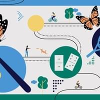 Destination Recreation