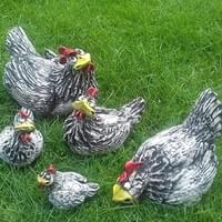 Hens  (various sizes 6"- 12")