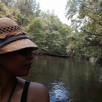 travel: vernon, florida, usa
