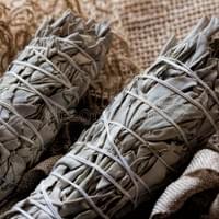 White Sage