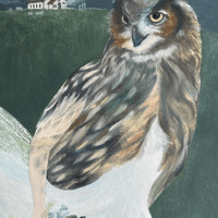 油性粉彩 Oil Pastel