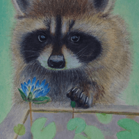 油性粉彩 Oil Pastel