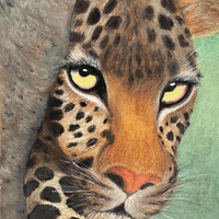 油性粉彩 Oil Pastel