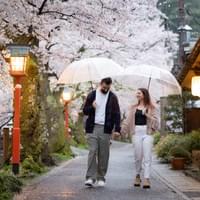Sakura＆Rain