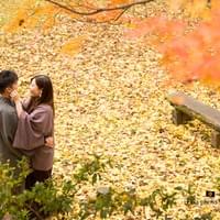 In Autumn