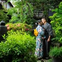 in the Japanese garden
