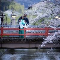 cherry blossom at Kinosaki