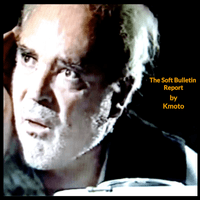 The Soft Bulletin Report