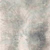 The Waters of the Yellow River Descend from the Skies 