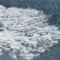 Rhythm of Sakura Waves