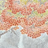 Enchanted under Blooming Shade 