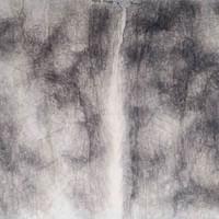 A Thousand Miles of River Going out from My Heart