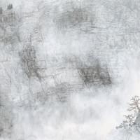 Full of Dark Green & Startled by High Wind